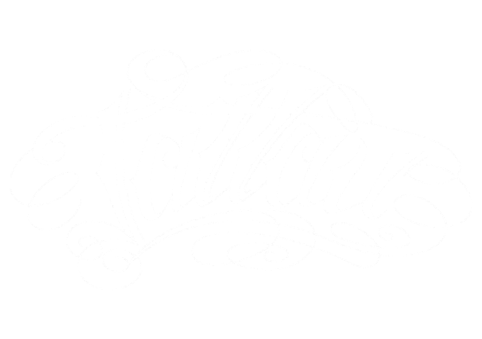 light logo